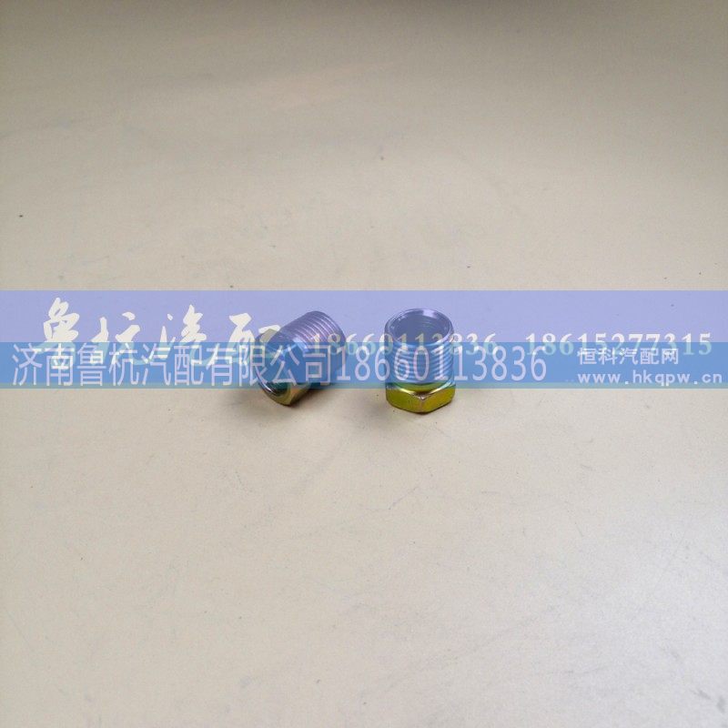 190003559948 卡套式端直通接头体