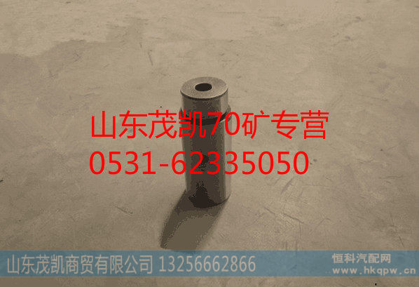 重汽豪沃70矿轮边行星轮轴AZ9970340054