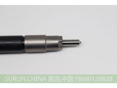 5550,共轨喷油器总成,宁波粟润油泵油嘴有限公司