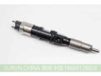 6480,共轨喷油器总成,宁波粟润油泵油嘴有限公司