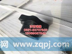 1000649736,螺塞 加机油盖,济南瑞隆工贸重卡动力专营