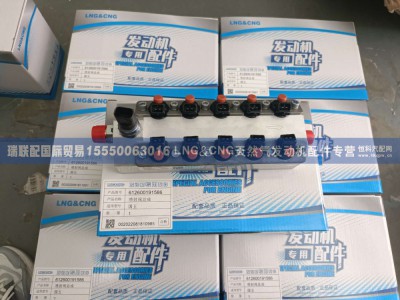612600191586,612600191586喷射阀总成 国五,瑞联配国际贸易(济南)有限公司