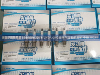 1000450457,火花塞1000450457 潍柴国五,瑞联配国际贸易(济南)有限公司