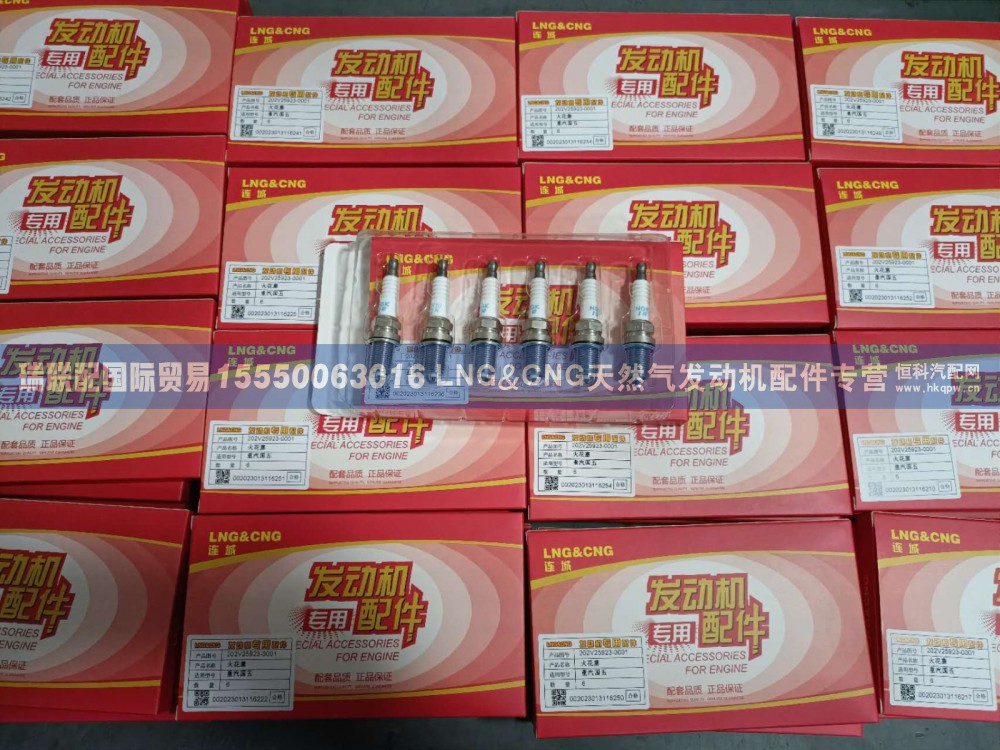 202V25923-0001,火花塞202V25923-0001 重汽国五,瑞联配国际贸易(济南)有限公司