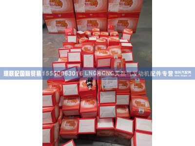 1001101111,1001101111燃气喷射阀总成,瑞联配国际贸易(济南)有限公司