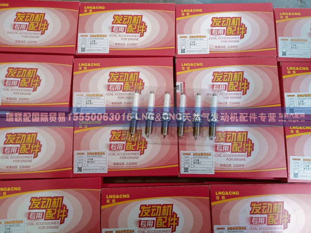 202V25923-0005,202V25923-0005 火花塞 重汽国六,瑞联配国际贸易(济南)有限公司