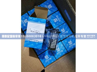 QLX113B-CP1,气滤芯 QLX113B-CP1,瑞联配国际贸易(济南)有限公司