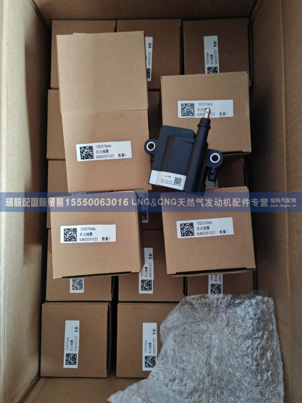 1002570666,1002570666点火线圈,瑞联配国际贸易(济南)有限公司