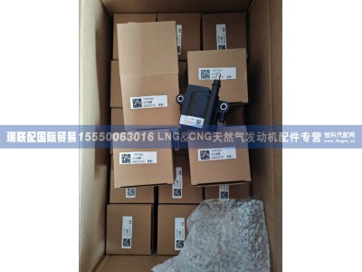 1002570666,1002570666点火线圈,瑞联配国际贸易(济南)有限公司