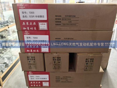 7203,EGR冷却器芯 7203,瑞联配国际贸易(济南)有限公司