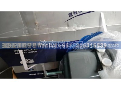 WG9000360600/1,膜片式弹簧制动气室,瑞联配国际贸易(济南)有限公司