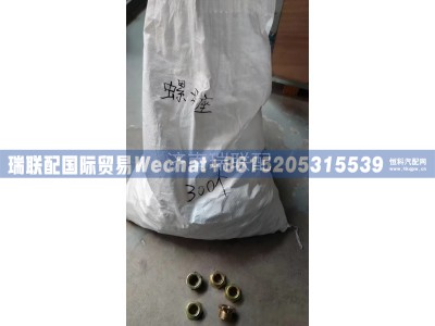 WG9100360161,空压机接头螺母（外22内16）,瑞联配国际贸易(济南)有限公司