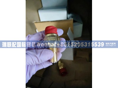 WG2209280023,倒挡压力开关,瑞联配国际贸易(济南)有限公司