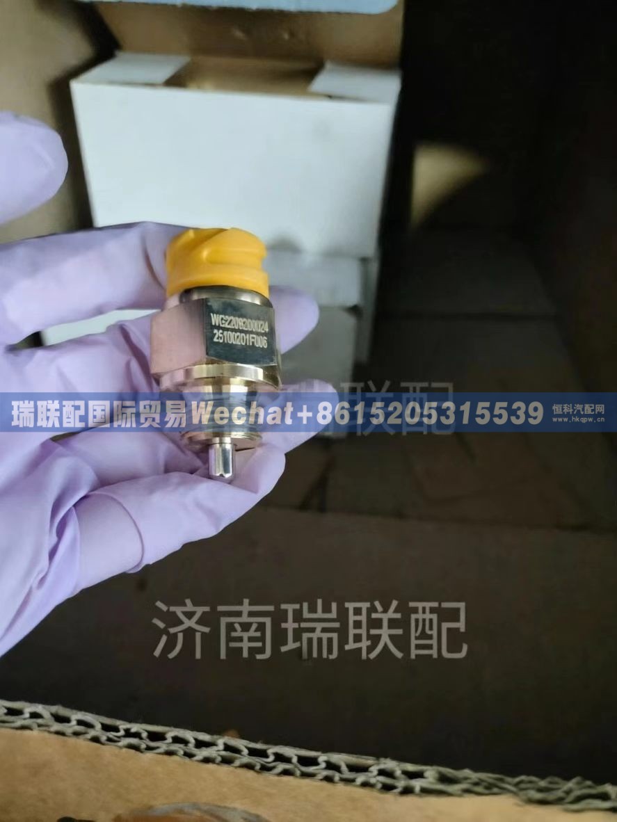 WG2209280024 压力开关DIN接头 瑞联配国际贸易