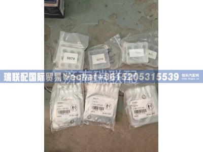 F00VC99002,电喷修理包,瑞联配国际贸易(济南)有限公司