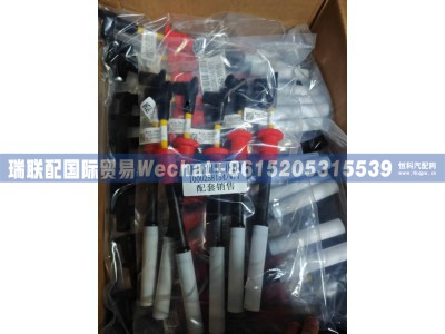 WPA1000258154,高压线总成,瑞联配国际贸易(济南)有限公司