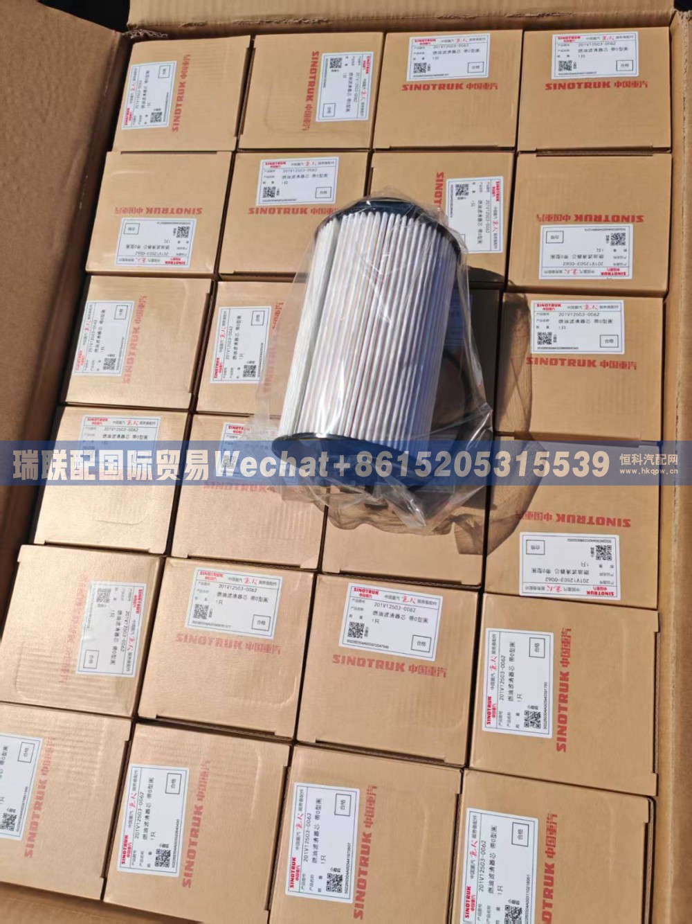 201V12503-0062,燃油滤清器芯 带O型圈,瑞联配国际贸易(济南)有限公司