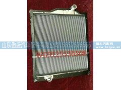 WG9125530508,水箱总成,山东傲盛汽车配件有限公司