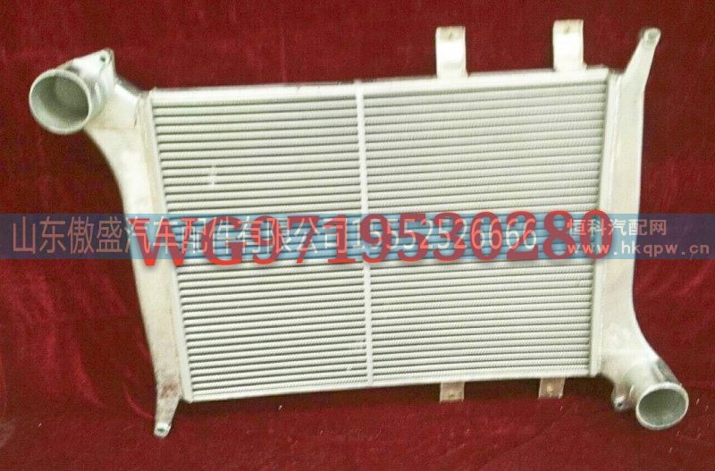 WG9719530280,中冷器总成,山东傲盛汽车配件有限公司