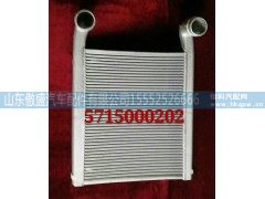 5715000202,水箱散热器,山东傲盛汽车配件有限公司