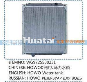 WG9725530231,豪沃09款大马力水箱,山东百基安国际贸易有限公司