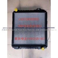 水箱散熱器總成LG9704530050