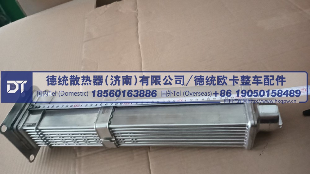 1005405069,1005405069 EGR散热器芯体,德统散热器（济南）有限公司/ 德统欧卡整车配件