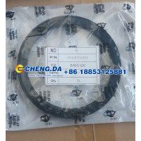VG1047010050后油封