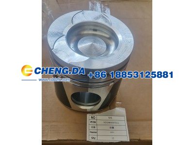 VG1560037011,活塞,山东鼎赞飞行汽车制造有限公司