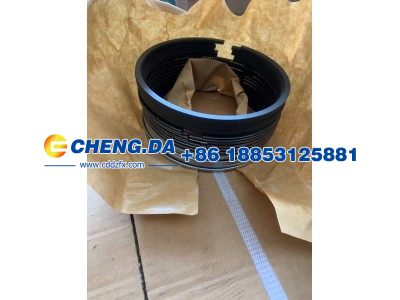 VG1560030050,活塞环,山东鼎赞飞行汽车制造有限公司