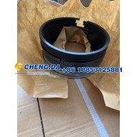 VG1560030050活塞环