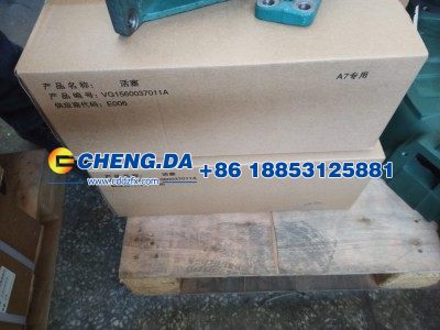 VG1560037011A,活塞,山东鼎赞飞行汽车制造有限公司