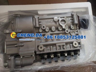 VG1560080023,高压油泵,山东鼎赞飞行汽车制造有限公司