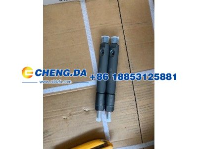 VG1560080276,喷油器总成,山东鼎赞飞行汽车制造有限公司