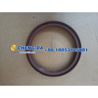 WG9114520223轴密封圈