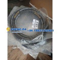 WG9719230088高压软管