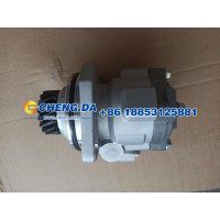 WG9725471016转向助力泵