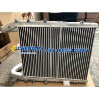 WG9918530002中冷器总成（D1210中）