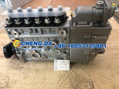 VG1560080023,高压油泵 CB6P828,山东鼎赞飞行汽车制造有限公司