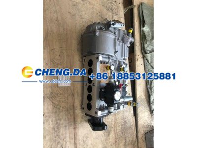 VG1560080023,高压油泵 CB6P828,山东鼎赞飞行汽车制造有限公司