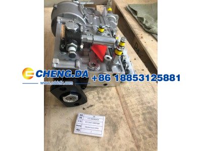 VG1560080023,高压油泵 CB6P828,山东鼎赞飞行汽车制造有限公司