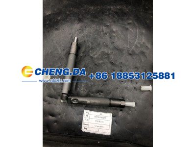 VG1560080276,喷油器总成,山东鼎赞飞行汽车制造有限公司