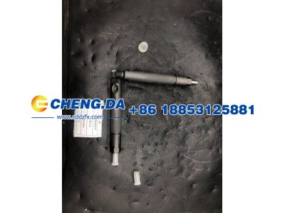 VG1560080276,喷油器总成,山东鼎赞飞行汽车制造有限公司