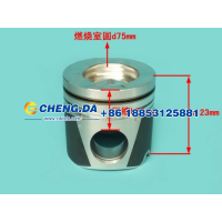 VG1560030010,活塞 E2-4A,山东鼎赞飞行汽车制造有限公司