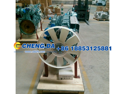 HW47070107,发动机总成 WD615.47 371马力,山东鼎赞飞行汽车制造有限公司