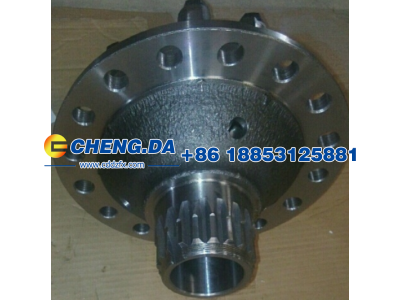 AZ9231320272,轮间差速器总成 中桥 4.42/4.8/5.73/6.72,山东鼎赞飞行汽车制造有限公司