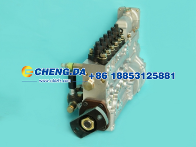 VG1560080023,高压油泵总成 371,山东鼎赞飞行汽车制造有限公司