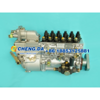 VG1560080023,高压油泵总成 371,山东鼎赞飞行汽车制造有限公司