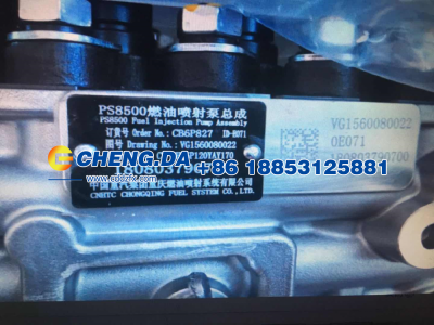 VG1560080022,高压油泵总成 336,山东鼎赞飞行汽车制造有限公司