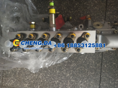 VG1246080097,高压油泵  D12,山东鼎赞飞行汽车制造有限公司